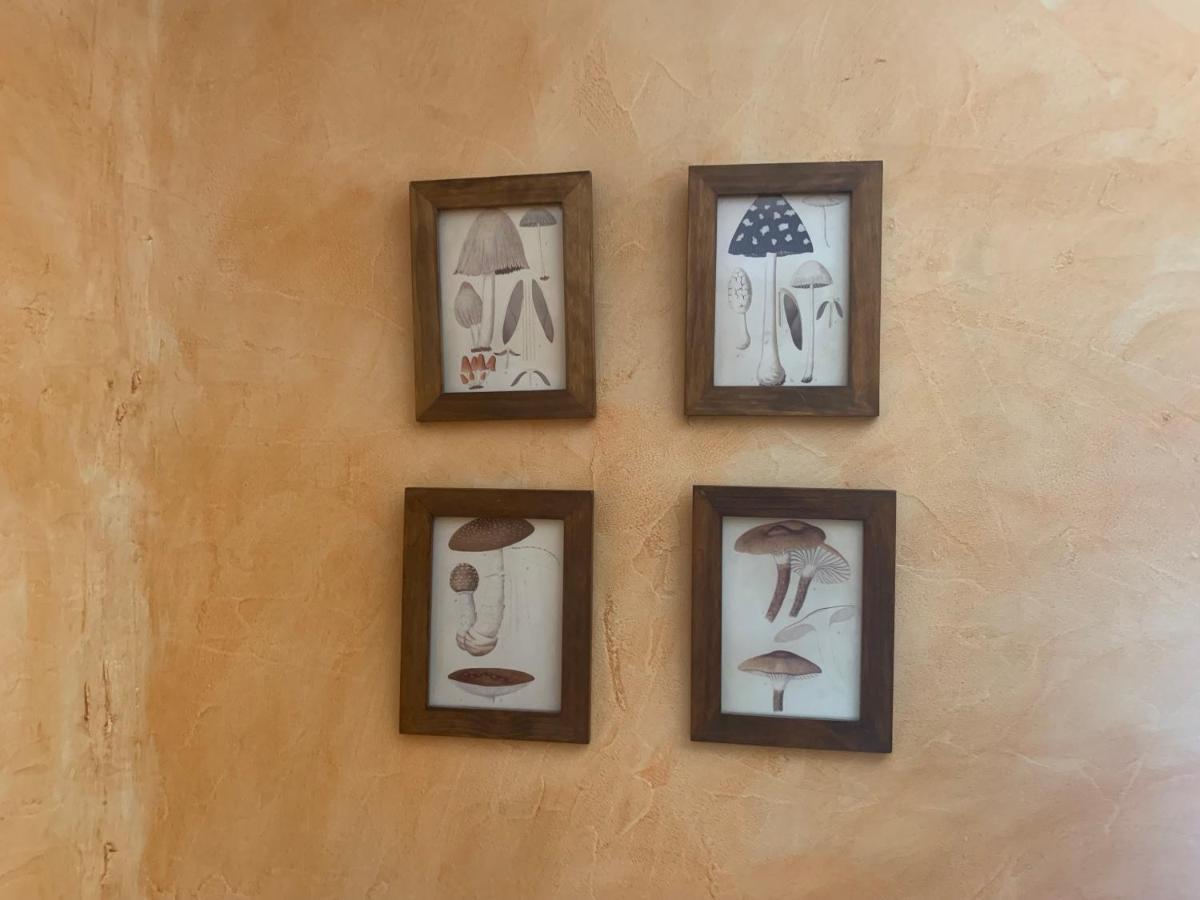 Casa Del Plantel Daire San Ildefonso Dış mekan fotoğraf